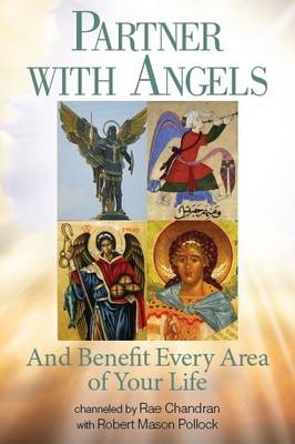 Book cover for Partner with Angels