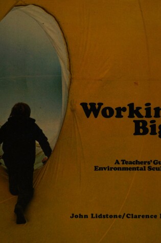 Cover of Working Big