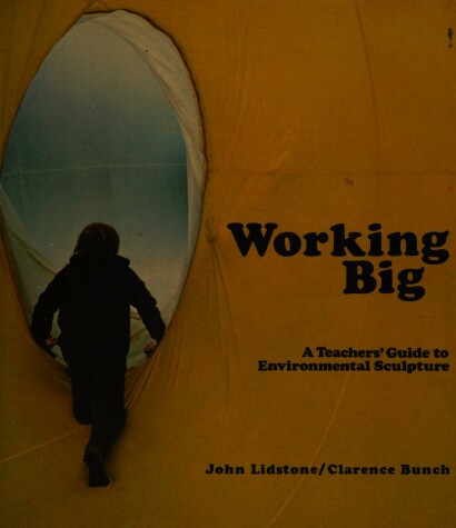 Book cover for Working Big