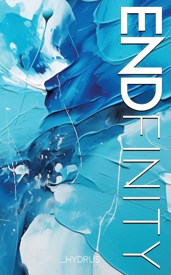 Book cover for ENDfinity