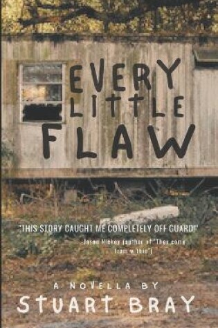 Cover of Every little flaw