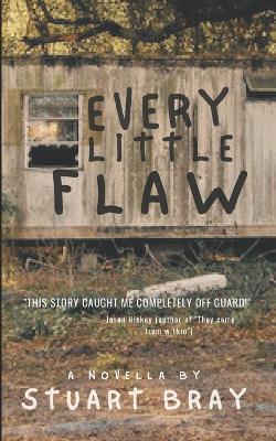 Book cover for Every little flaw