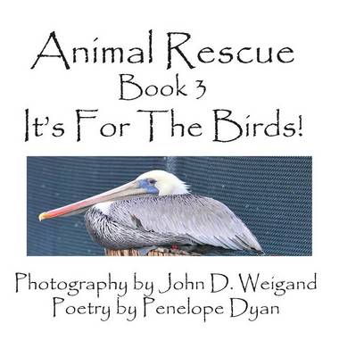 Book cover for Animal Rescue, Book 3, It's for the Birds!