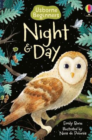 Cover of Night and Day