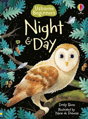 Book cover for Night and Day