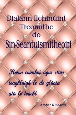 Book cover for Dialann Ilchinuint Treoraithe do Sin-Seantuismitheoiri