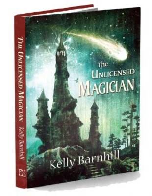 Book cover for The Unlicensed Magician