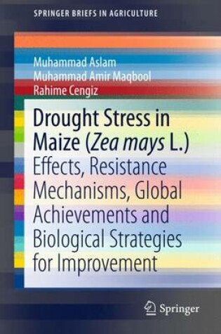 Cover of Drought Stress in Maize (Zea mays L.)