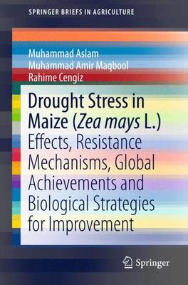 Book cover for Drought Stress in Maize (Zea mays L.)