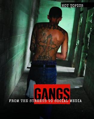 Book cover for Gangs