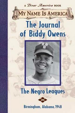 Cover of The Journal of Biddy Owens