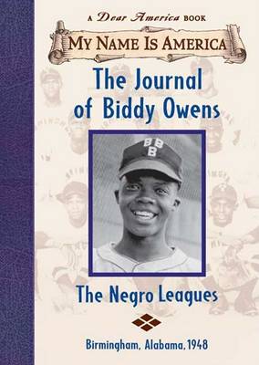 Book cover for The Journal of Biddy Owens