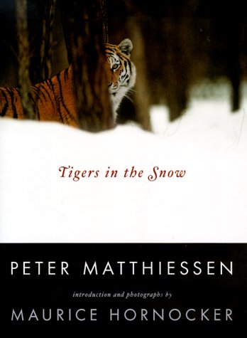 Book cover for Tigers in the Snow