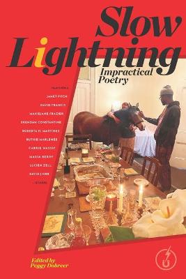 Book cover for Slow Lightning