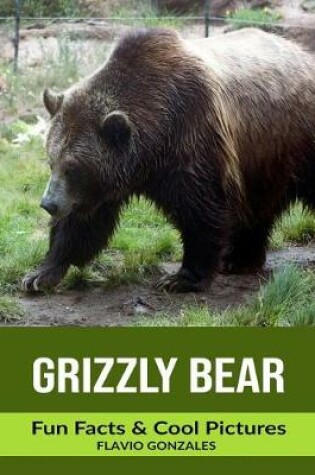 Cover of Grizzly bear
