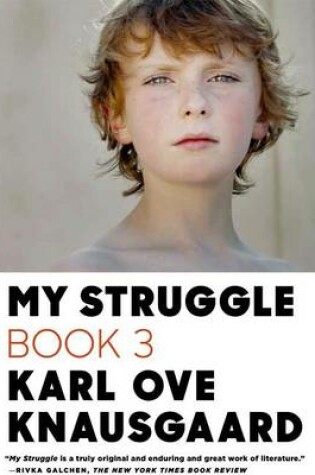 Cover of My Struggle, Book 3