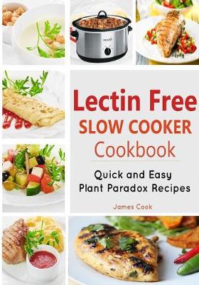Book cover for Lectrin Free Slow Cooker Cookbook