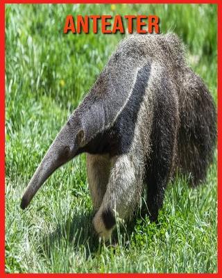 Book cover for Anteater