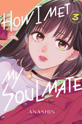 Cover of How I Met My Soulmate 3