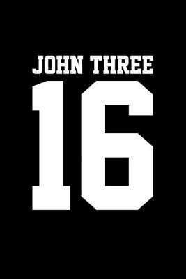 Book cover for John Three 16