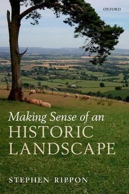 Book cover for Making Sense of an Historic Landscape