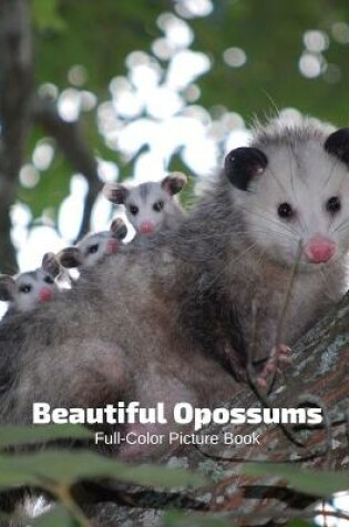 Cover of Beautiful Opossums Full-Color Picture Book