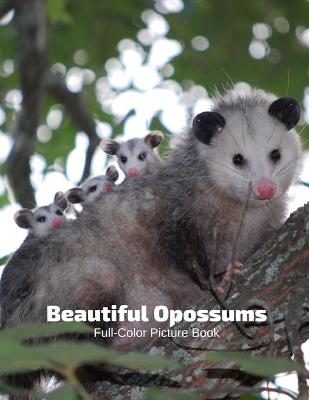 Book cover for Beautiful Opossums Full-Color Picture Book