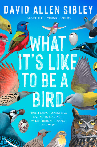Cover of What It's Like to Be a Bird (Adapted for Young Readers)