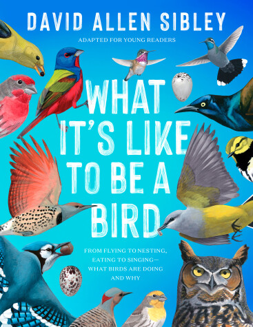 Book cover for What It's Like to Be a Bird (Adapted for Young Readers)