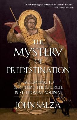 Book cover for The Mystery of Predestination