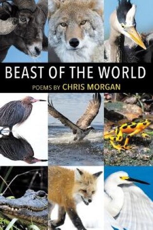 Cover of Beast of the World