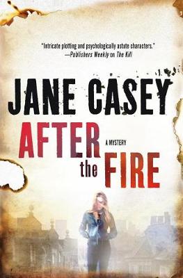 Book cover for After the Fire
