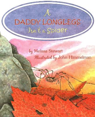 Book cover for A Daddy Longlegs Isn't a Spider