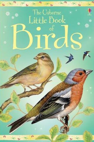 Cover of Little Book of Birds