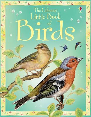 Book cover for Little Book of Birds