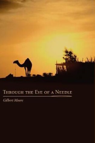 Cover of Through the Eye of a Needle