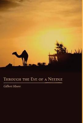 Book cover for Through the Eye of a Needle