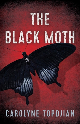 Book cover for The Black Moth