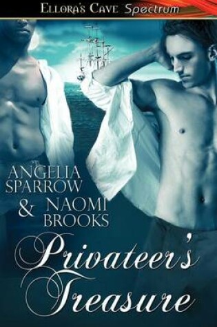 Cover of Privateer's Treasure