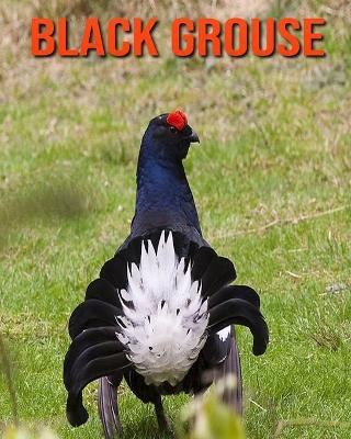 Book cover for Black Grouse