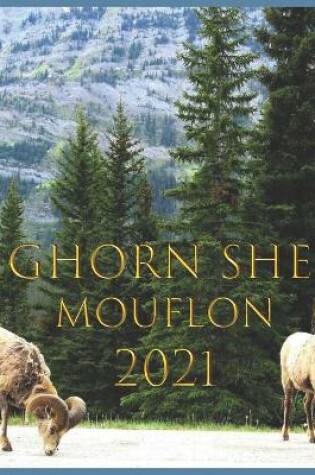 Cover of mouflon 2021