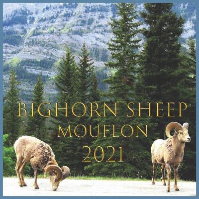 Book cover for mouflon 2021