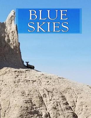 Book cover for Blue Skies