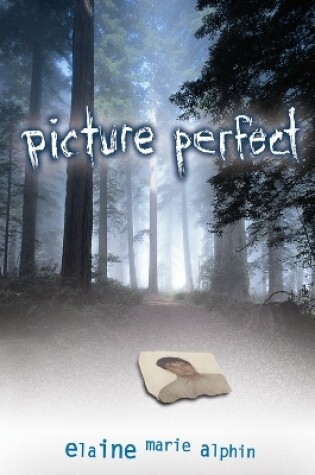 Cover of Picture Perfect