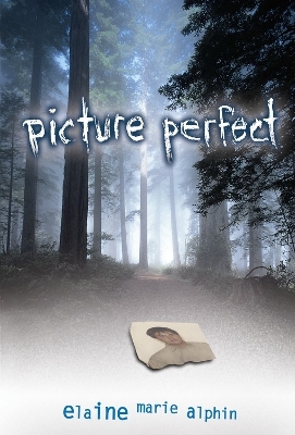 Book cover for Picture Perfect