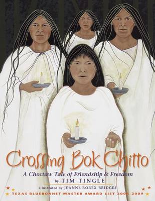 Book cover for Crossing Bok Chitto