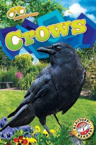 Cover of Crows