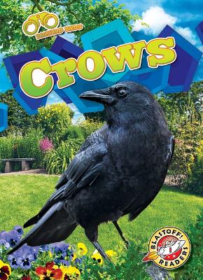 Book cover for Crows