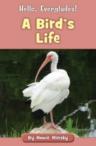 Cover of A Bird's Life