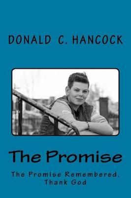 Book cover for The Promise